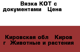 Вязка КОТ с документами › Цена ­ 1 000 - Кировская обл., Киров г. Животные и растения » Кошки   . Кировская обл.